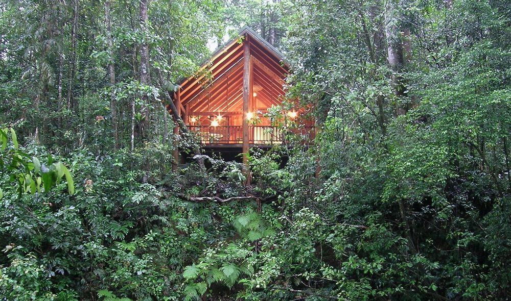 The Canopy Rainforest Treehouses & Wildlife Sanctuary Tarzali Exterior photo